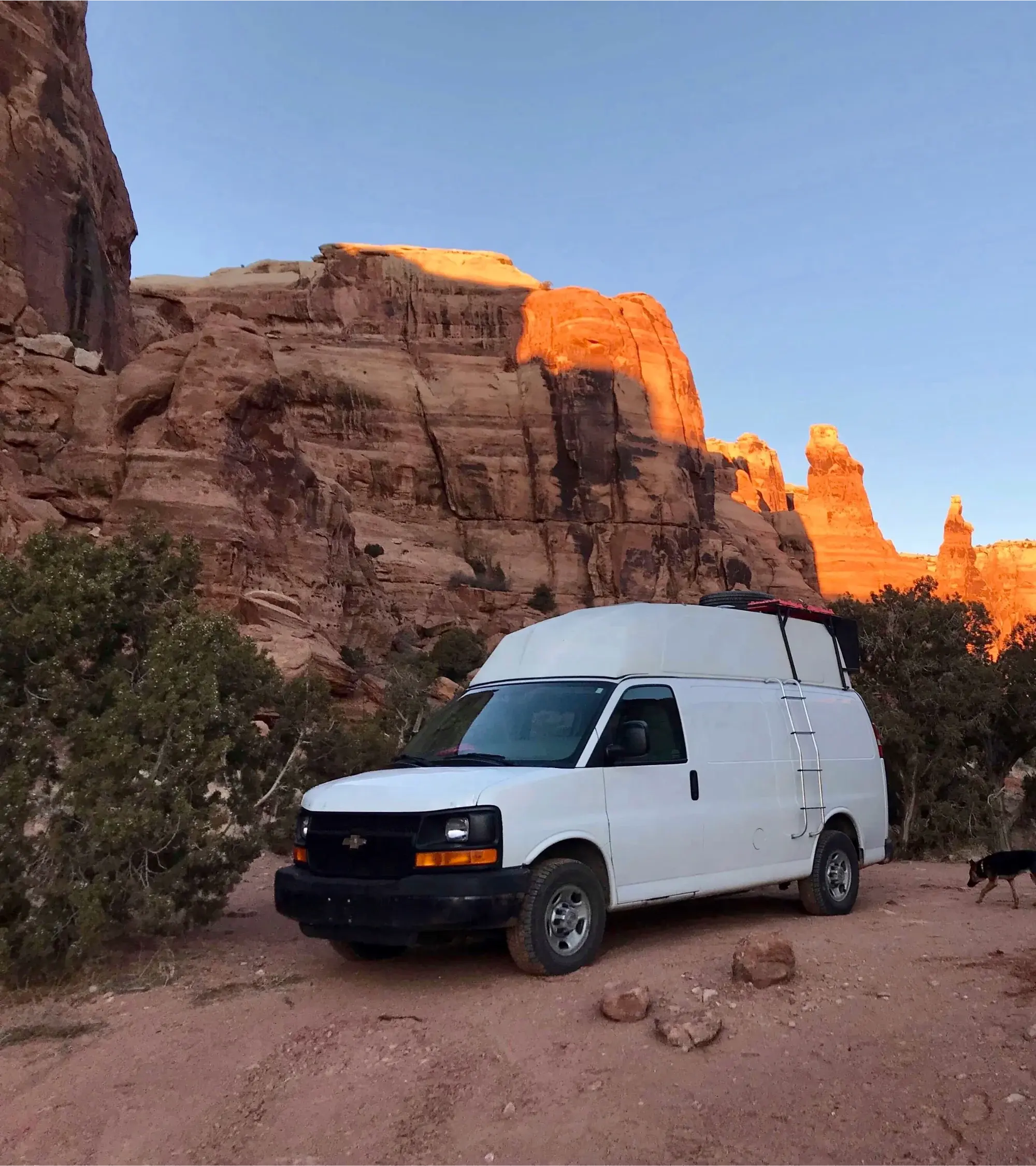 Moustiquaire Chevrolet Express