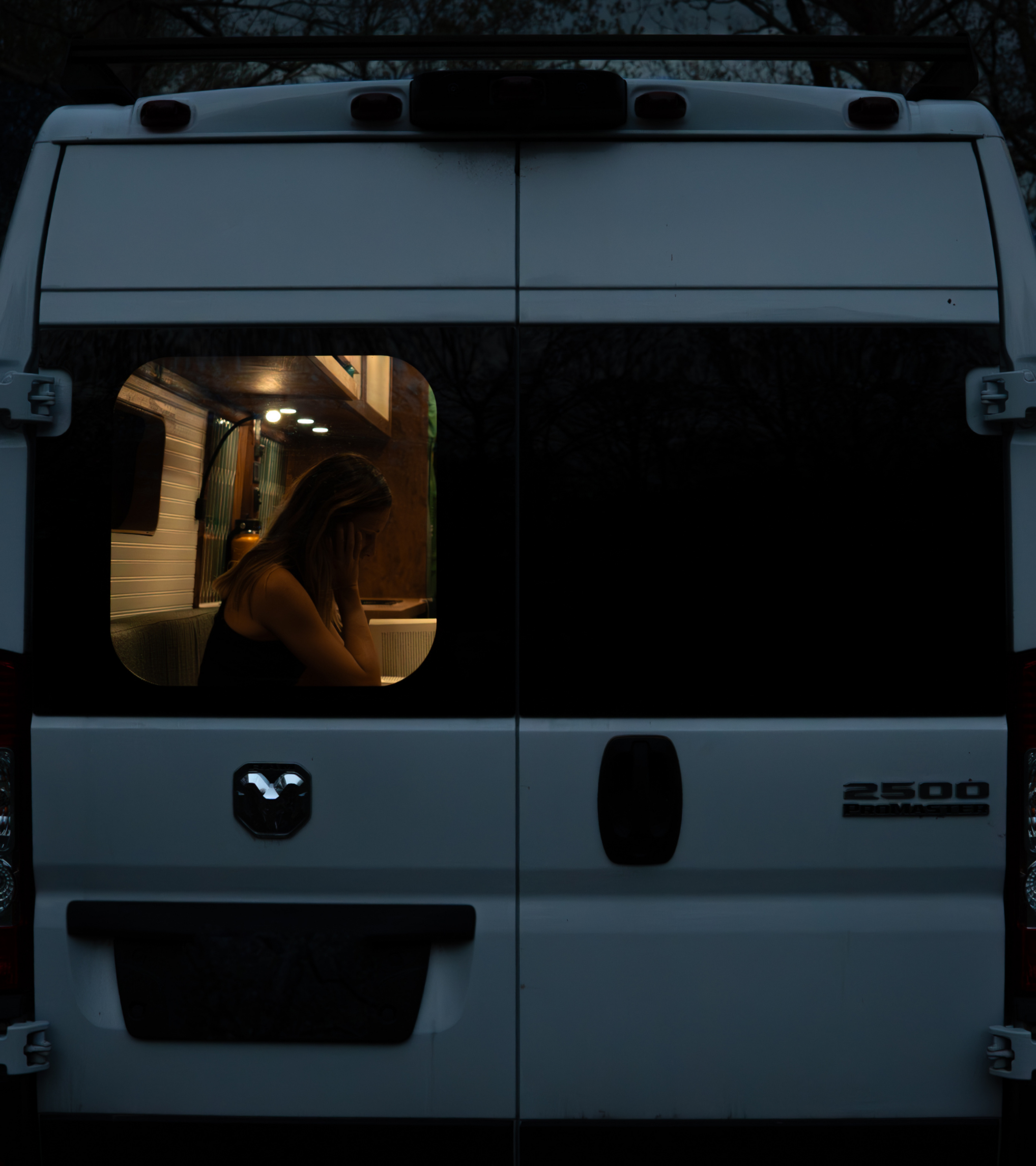 Fenêtres arrière Promaster