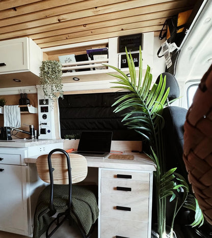 Fenêtre crew Promaster