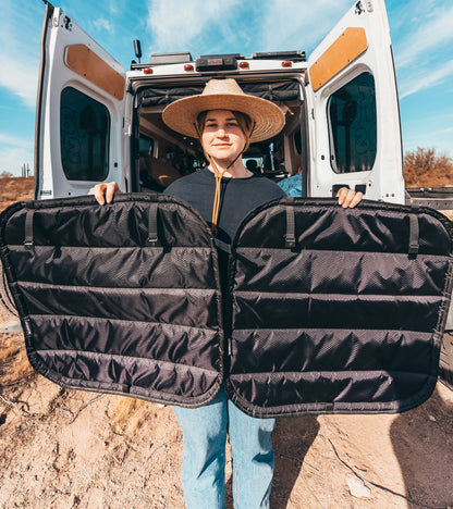 Fenêtres arrière Promaster